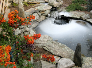 Garden Pond Water Features Halesowen
